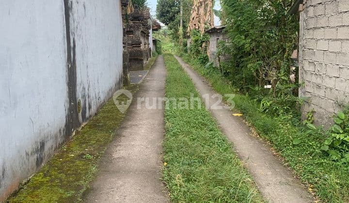 Tanah Murah 212M2 Marga Tabanan