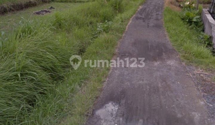 For sale cheap land 4560m2 Kuwum Marga Tabanan location