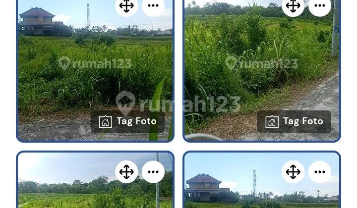 Cheap Land in Bongan Village, Tabanan Cheap Land in Bongan Village, Tabanan