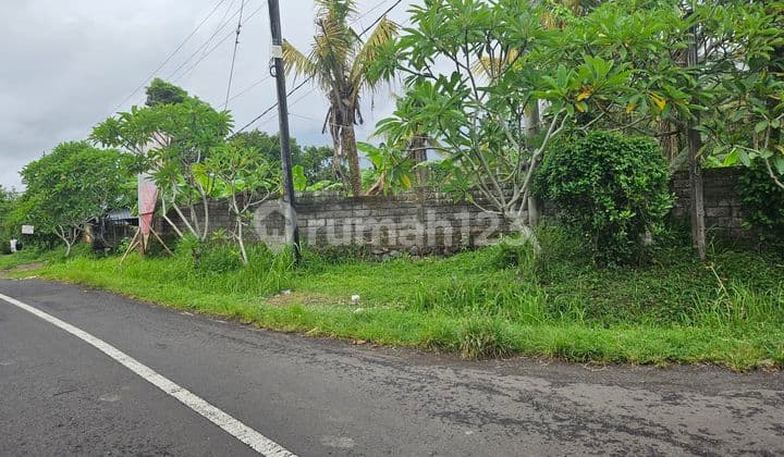 Tanah datar siap bangun dekat pantai di Tabanan