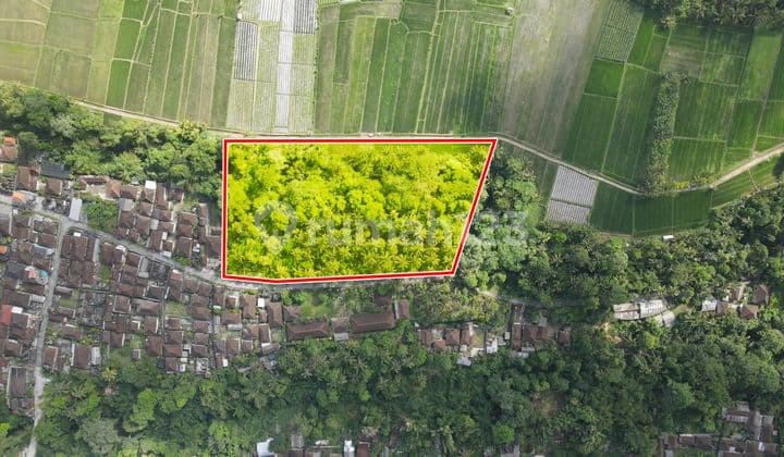 Tanah murah, datar siap bangun di Tabanan