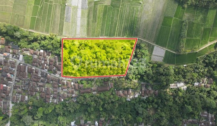 Tanah murah, datar siap bangun di Tabanan
