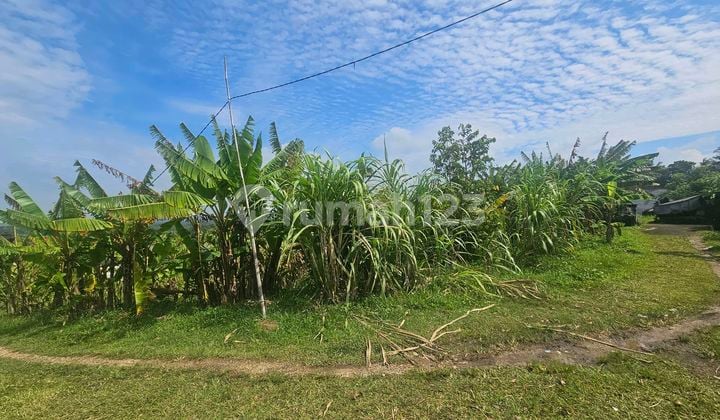 Cheap Land for Rent in Megati Selemadeg Near the Beach