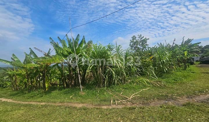 Land for Rent Near the Beach with Rice Field View in Selemadeg, Tabanan
