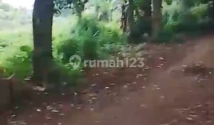 Dijual Murah Tanah 5000 Meter Cocok untuk Perumahan dan Gudang Strategis Pinggir Jalan Raya di Rempoa Tangerang Selatan