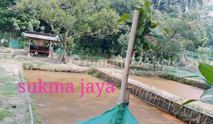 Dijual Tanah Kolam Empang Luas 700 Meter Bebas Banjir Dekat Stasiun Bojong Gede Di Sukma Jaya Tajur Halang Bogor