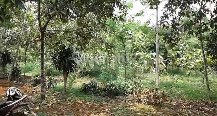 Dijual Tanah Darat Strategis Luas 1500 Meter Bonus Rumah Bebas Banjir Dekat Akses Tol dan Kreta KRL di Waru Parung Bogor