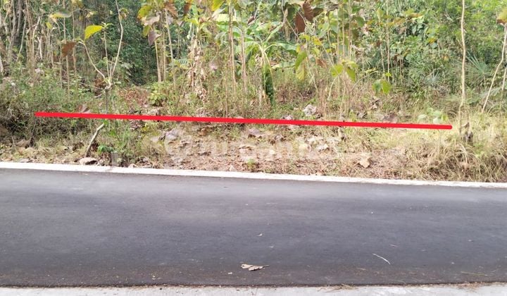 Dijual SHM Pekarangan di Donomulyo Nanggulan Sentolo Kulonprogo