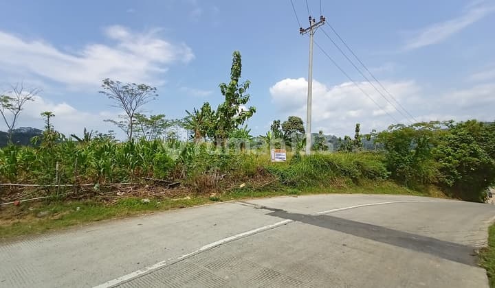 Tanah di Kendal cocok untuk kavling perumahan,usaha wisata, kuliner