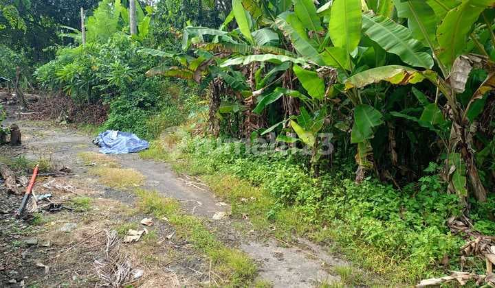 Tanah 3 Are SHM Dekat Pantai Saba Gianyr Ekkwan