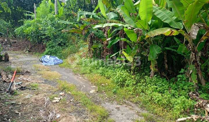 Tanah 3 Are SHM Dekat Pantai Saba Gianyr Ekkwan