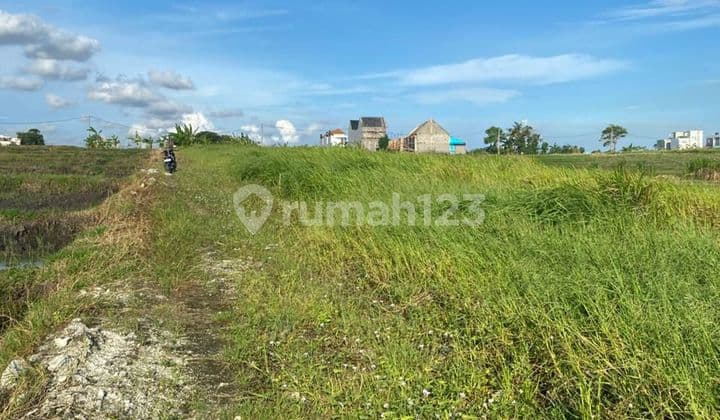 Tanah Premium 2.24 Are Dekat Pantai Mengening Cemagi Yg