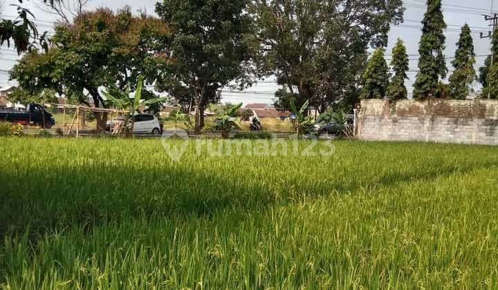 Tanah Sawah Strategis Di Jalan Raya Soreang Banjaran