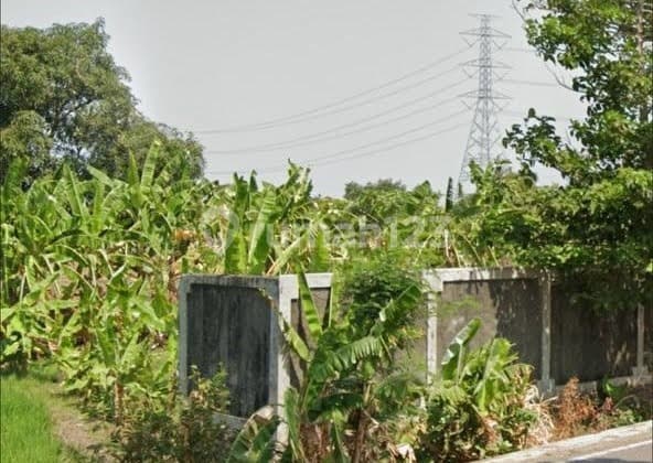 Tanah Strategis Untuk Pergudangan Di Widasari Indramayu