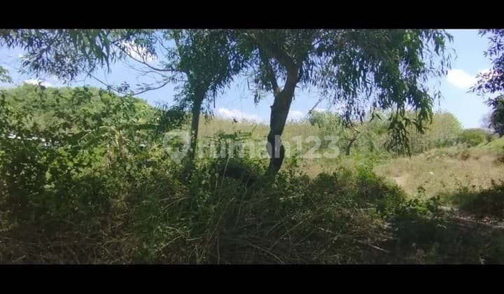 Tanah Strategis Untuk Gudang Pabrik Di Pabedilan Ciledug Cirebon