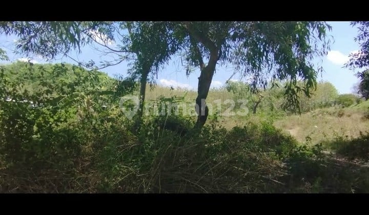 Tanah Strategis Untuk Gudang Pabrik Di Pabedilan Ciledug Cirebon