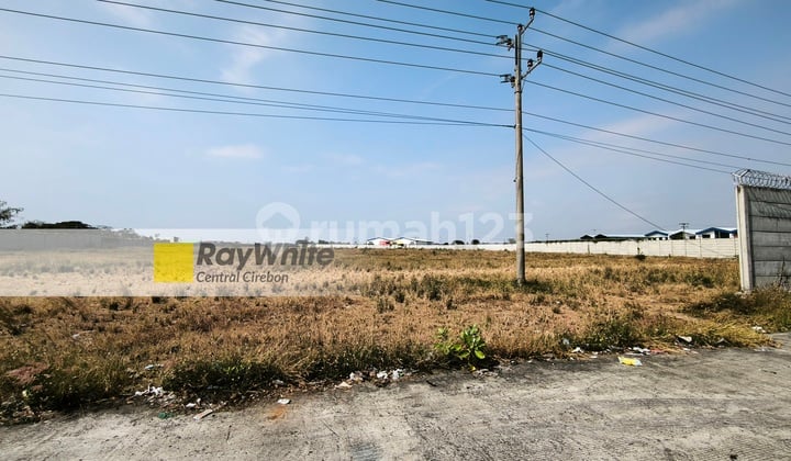 Tanah Industri Sudah Padat Tembok Keliling Di Brebes Jawa Tengah
