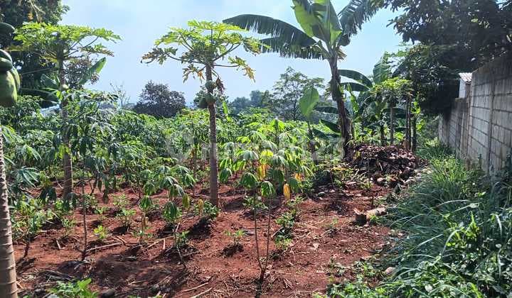 Tanah Kosong Di Jalan Sadang Cibiru Bandung