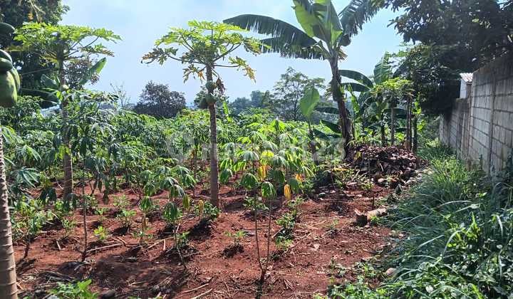 Tanah Kosong Di Jalan Sadang Cibiru Bandung