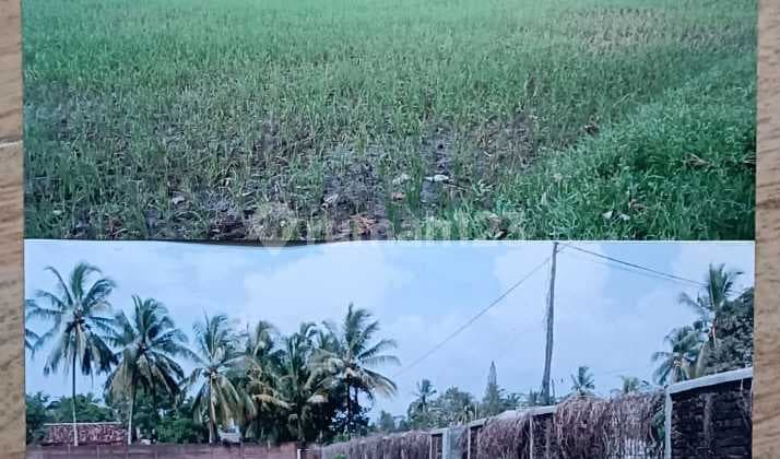 Dijual Tanah Di Pinggir Jalan Serang Banten Murah