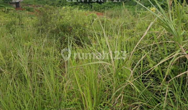 Tanah Kavling 2334 M2 di Cibinong Jawa Barat