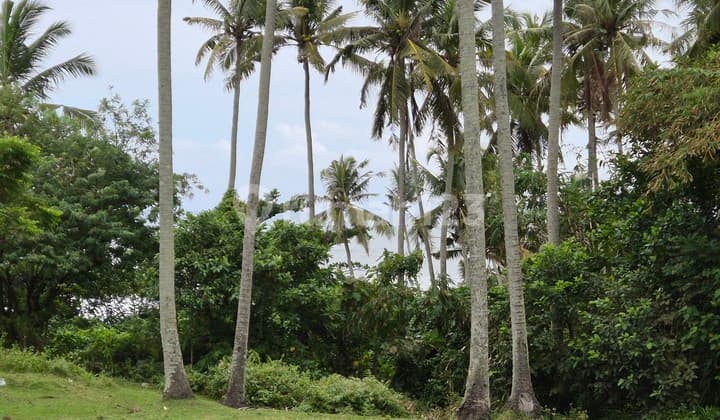 Land With Direct Beach Access – Antap, Soka, Tabanan