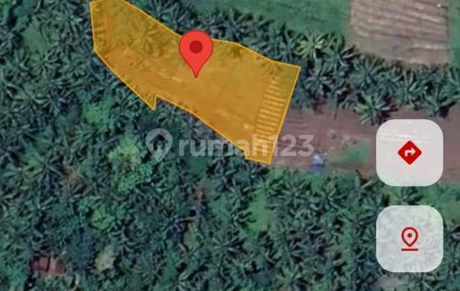 Dijual Tanah View Persawahan dan Sungai Bantas, Tabanan