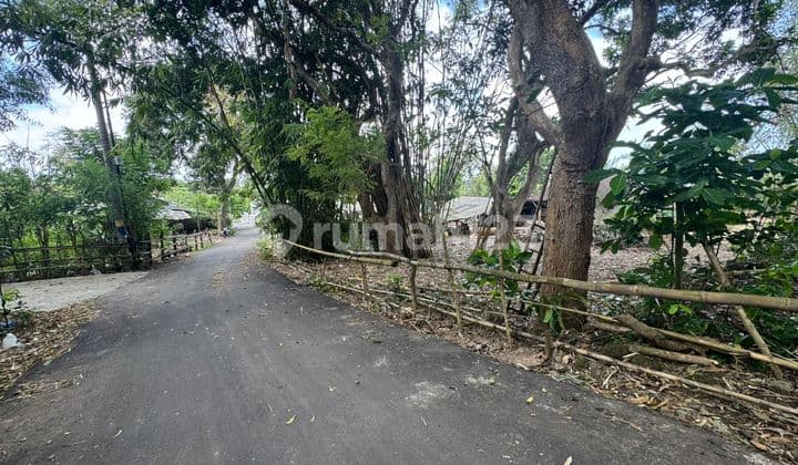 Beautiful Land In Pecatu Yellow Zone 20.0