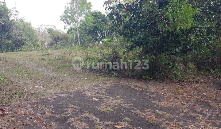 Tanah 20 Are Unblocked View di Temu Dewi Pecatu, Bali