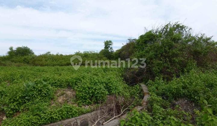 Airport, Mountain, Ocean View Bukit Bintang Puri Gading, Bali