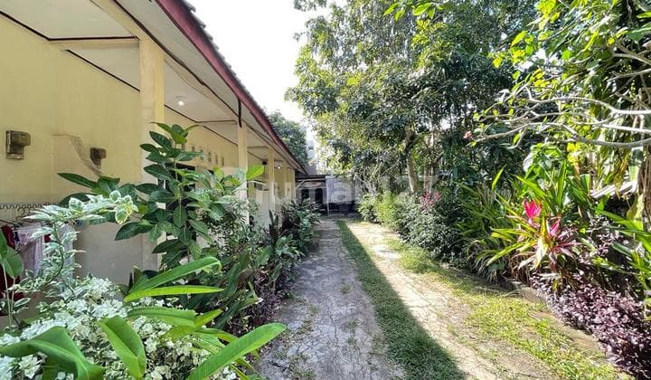 Homestay For Sale Close To Jimbaran Beach, Bali