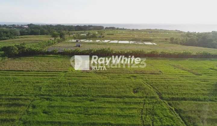 Kavling Tanah Kedungu Bali For Sale