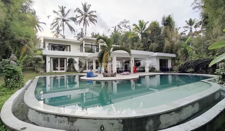 Villa Moderen di Kawasan Ubud Bali, Cocok Untuk Villa Bisnis