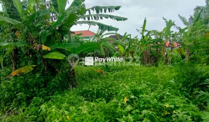 10 Are Plot Land Walk to Berawa Beach, Bali