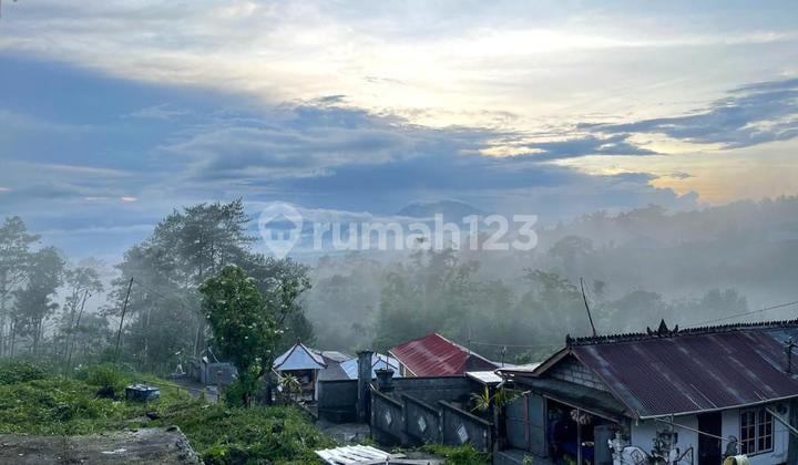 Beautiful Land With Mount Batur View In Kintamani, Bali