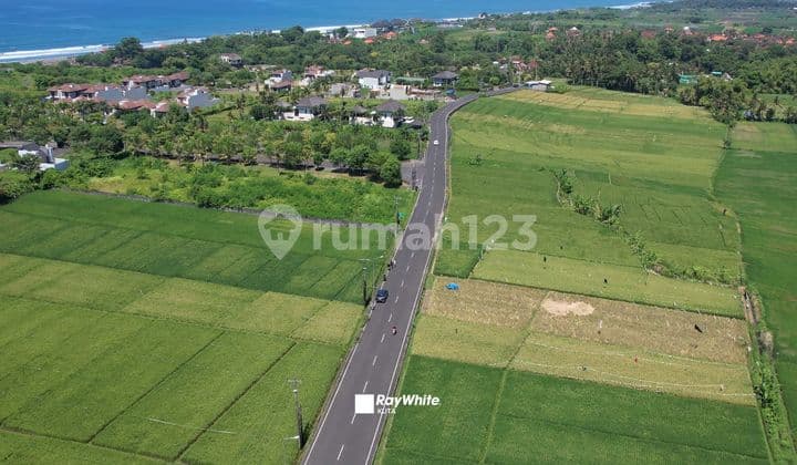 10,9 Are Land At Kedungu, Walking Distance To Bali Beach Glamping