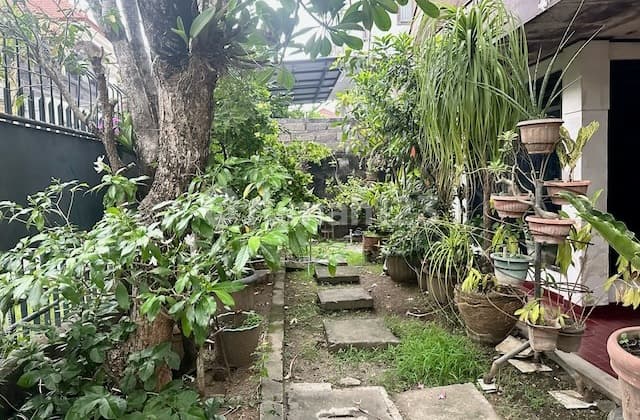 Tanah Strategis Bonus Rumah Lokasi Area Teuku Umar Denpasar, Bali