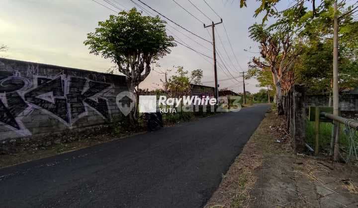 Tanah Kavling Strategis Hanya 800 Meter Ke Pantai Balangan, Bali