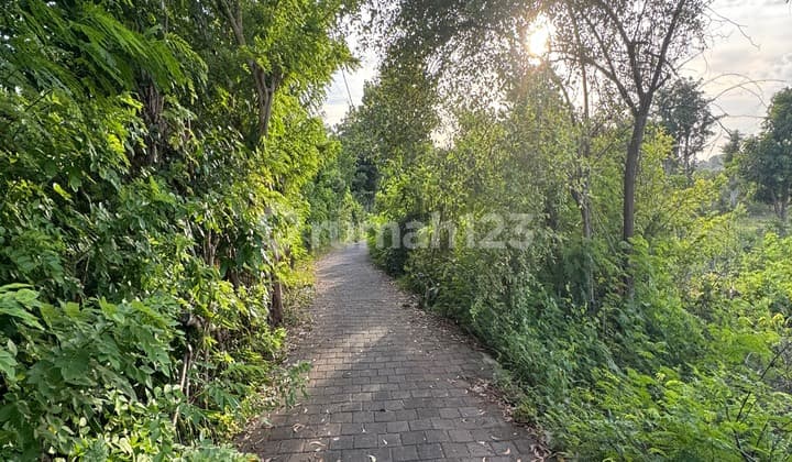 Small Land Lease Hold Near Bingin Center