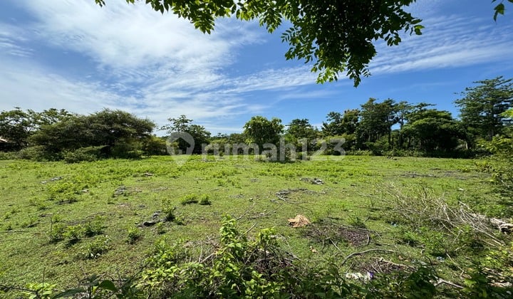 Selling land in Balangan near the beach