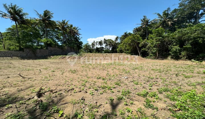 Sea View And Walk To Keramas Beach