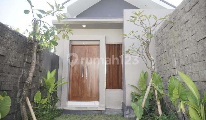 Ricefield View Villa In Near Ubud