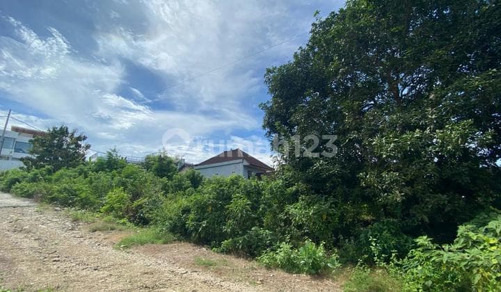 Pink Zone Ocean View Land Freehold In Pandawa Near The Beach