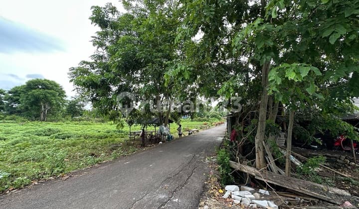 Jarak Jalan Kaki ke Pantai Balangan