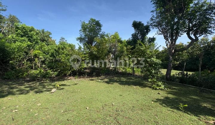 Cheap Land In Balangan