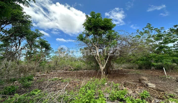 Beautiful Land For Sale Near Balangan