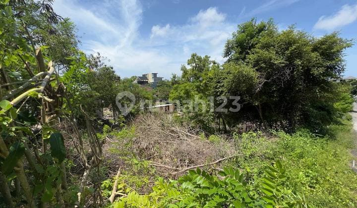 Ocean View Land In Pecatu
