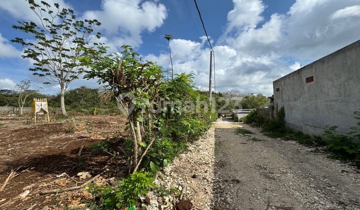 Flat Land Lease Hold In Uluwatu