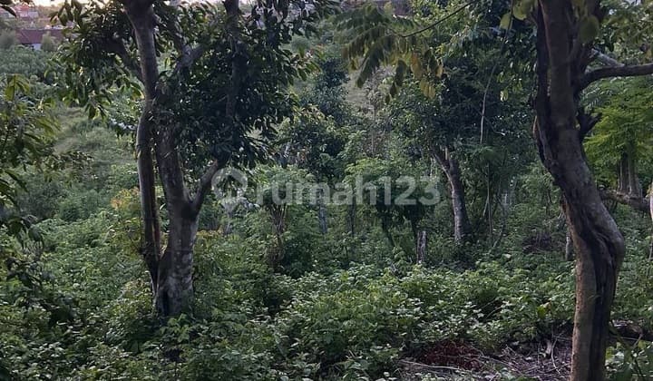 Land For Sale In Bukit – Ideal For Villa Complex