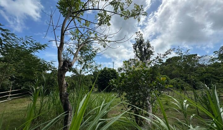 Beautiful Land In Bukal Sari Labuan Sait